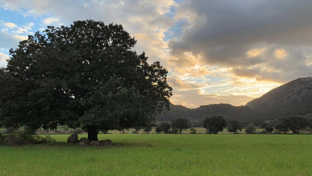 Finca Son Palou Hotel
